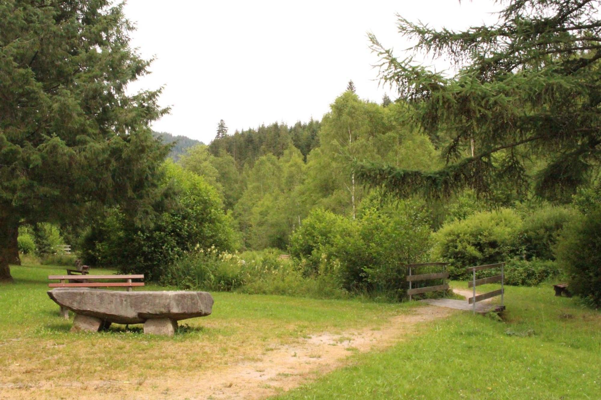 Hotel Adler Post Baiersbronn Kültér fotó